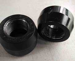 Schedule 10 Carbon Steel Outlets