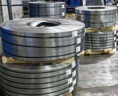 Stainless Steel Strips